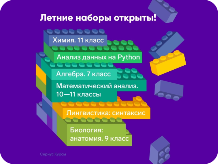 УЧИТЕСЬ В УДОБНОМ ТЕМПЕ: ЛЕТНИЙ МАРАФОН НА СИРИУС.КУРСАХ.